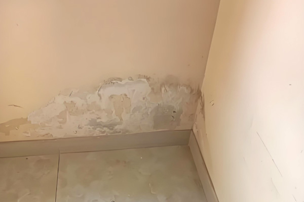 管道漏水檢測儀