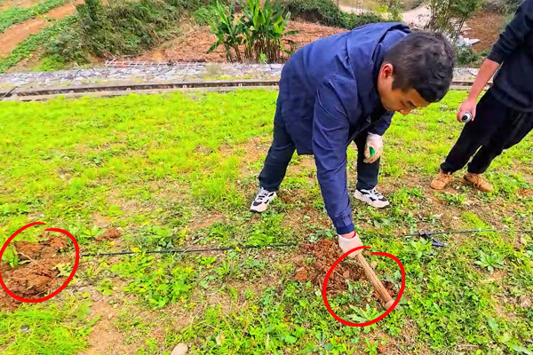 普奇PQ227A 堤防滲漏檢測儀 普奇PQ227A 堤防滲漏檢測儀